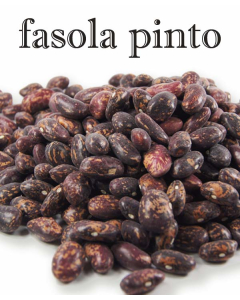 FASOLA PINTO